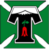 Temuco
