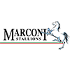 Marconi