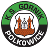 KS Gornik Polkowice