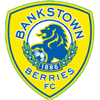 Canterbury Bankstown